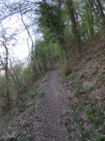 20140329_Rheinburgenweg_Etappe3_002