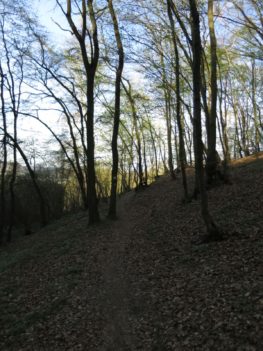 20140329_Rheinburgenweg_Etappe3_005