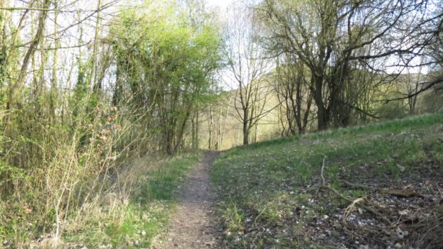 20140329_Rheinburgenweg_Etappe3_006