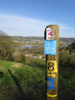 20140329_Rheinburgenweg_Etappe3_007