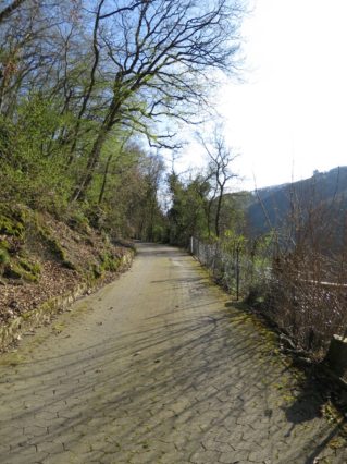 20140329_Rheinburgenweg_Etappe3_009