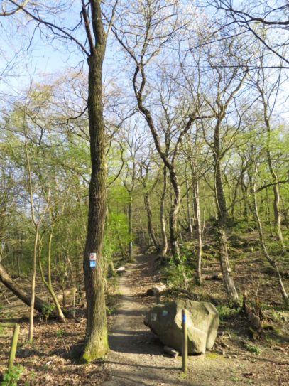 20140329_Rheinburgenweg_Etappe3_010