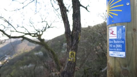 20140329_Rheinburgenweg_Etappe3_012