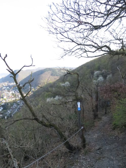 20140329_Rheinburgenweg_Etappe3_013