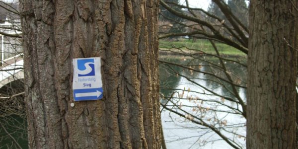 Markierungsschild Siegsteig Dattenfeld