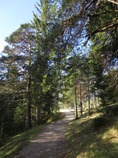 20140421_Mittenwald_Grainau_Basetrail_015
