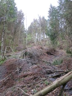 20140421_Mittenwald_Grainau_Basetrail_084