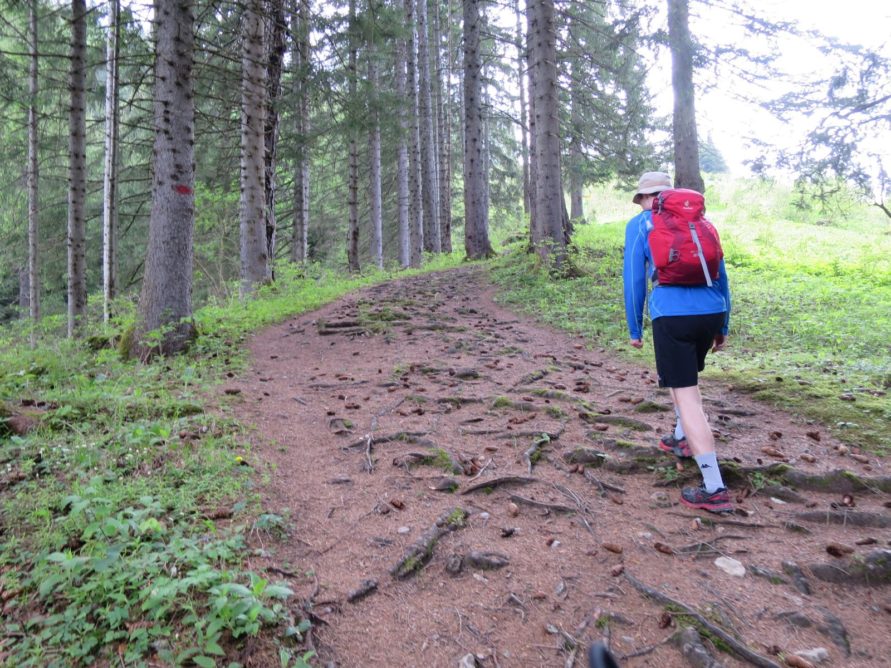20140525_Zugspitz_Ultratrail_Ehrwald_Mittenwald_006