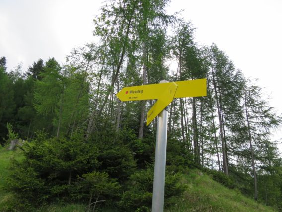 20140525_Zugspitz_Ultratrail_Ehrwald_Mittenwald_007