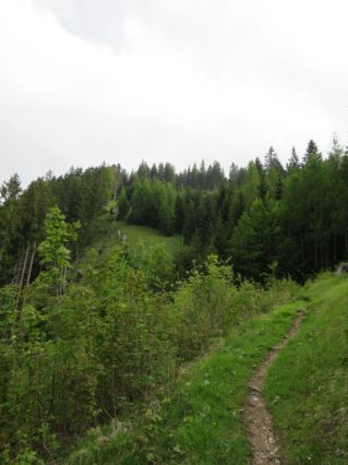 20140525_Zugspitz_Ultratrail_Ehrwald_Mittenwald_008