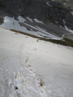 20140525_Zugspitz_Ultratrail_Ehrwald_Mittenwald_027