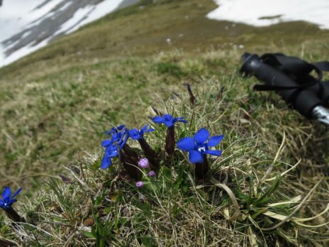 20140525_Zugspitz_Ultratrail_Ehrwald_Mittenwald_031