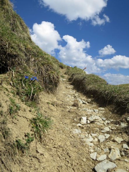 20140525_Zugspitz_Ultratrail_Ehrwald_Mittenwald_052