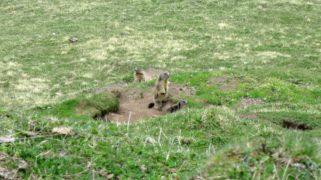 20140525_Zugspitz_Ultratrail_Ehrwald_Mittenwald_055