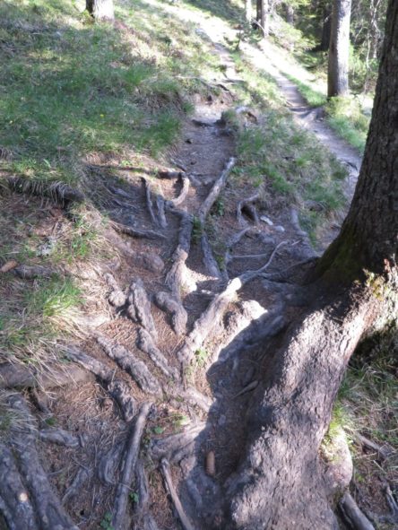 20140525_Zugspitz_Ultratrail_Ehrwald_Mittenwald_081