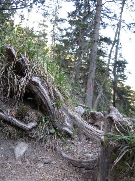 20140525_Zugspitz_Ultratrail_Ehrwald_Mittenwald_082