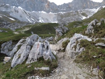 20140525_Zugspitz_Ultratrail_Ehrwald_Mittenwald_089