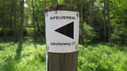 2BurgenTourExtended_Burg_Eltz_Moselkern_Bild005