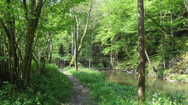 2BurgenTourExtended_Burg_Eltz_Moselkern_Bild007