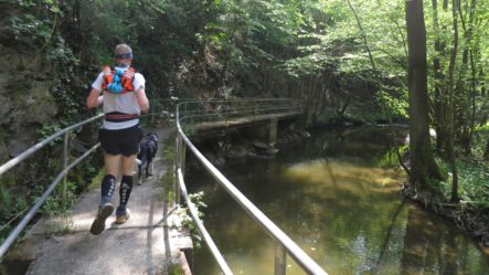 2BurgenTourExtended_Burg_Eltz_Moselkern_Bild010
