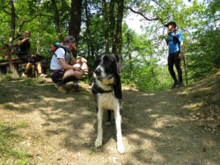 2BurgenTourExtended_Burg_Eltz_Moselkern_Bild012