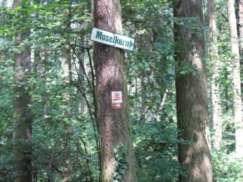 2BurgenTourExtended_Burg_Eltz_Moselkern_Bild021