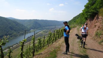 2BurgenTourExtended_Burg_Eltz_Moselkern_Bild022
