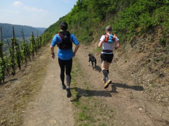 2BurgenTourExtended_Burg_Eltz_Moselkern_Bild023