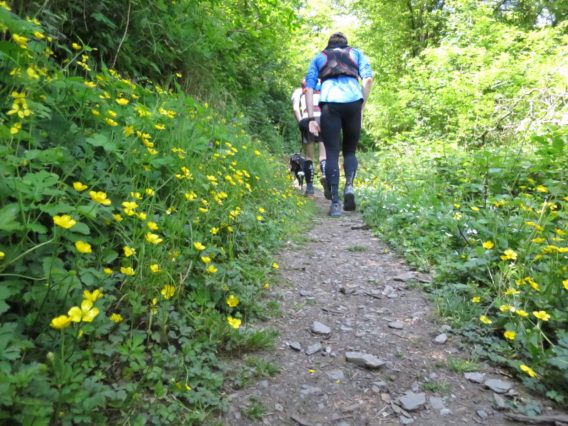 2BurgenTourExtended_Burg_Eltz_Moselkern_Bild030