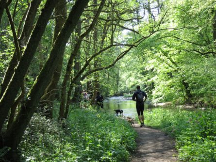 2BurgenTourExtended_Pyrmonter_Felsensteig_Bild012