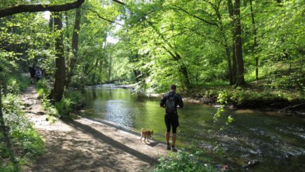 2BurgenTourExtended_Pyrmonter_Felsensteig_Bild013