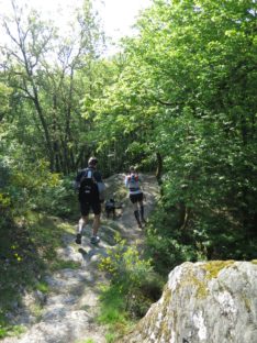 2BurgenTourExtended_Pyrmonter_Felsensteig_Bild014