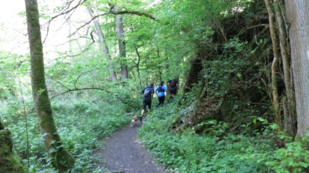 2BurgenTourExtended_Pyrmonter_Felsensteig_Bild021