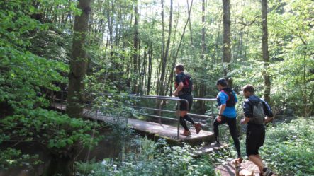 2BurgenTourExtended_Pyrmonter_Felsensteig_Bild022