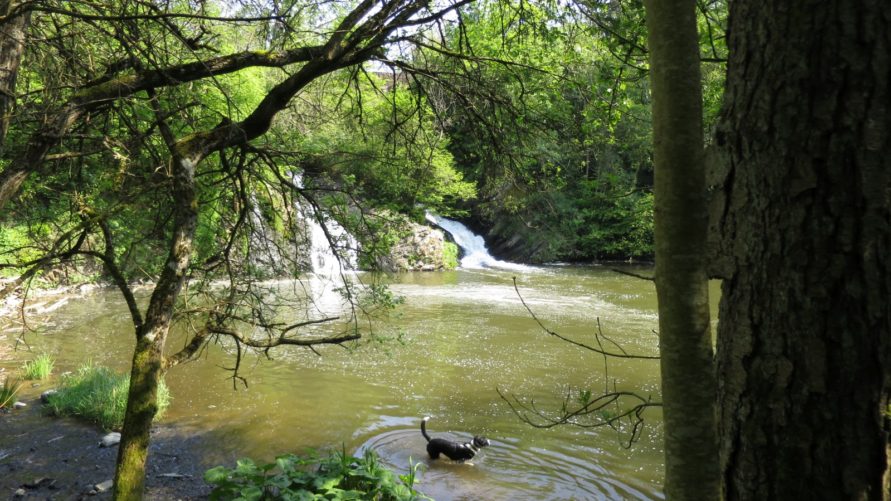 2BurgenTourExtended_Pyrmonter_Felsensteig_Bild028