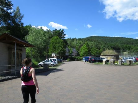 20140615_Traumpfad_Pellenzer_Seepfad_Laacher_See_003