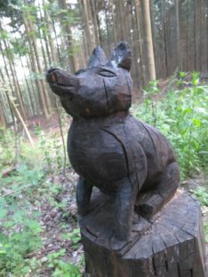 20140615_Traumpfad_Pellenzer_Seepfad_Laacher_See_008