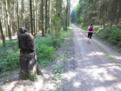 20140615_Traumpfad_Pellenzer_Seepfad_Laacher_See_009