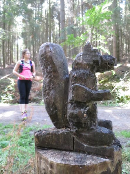 20140615_Traumpfad_Pellenzer_Seepfad_Laacher_See_011