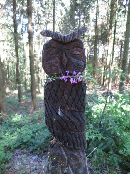 20140615_Traumpfad_Pellenzer_Seepfad_Laacher_See_012