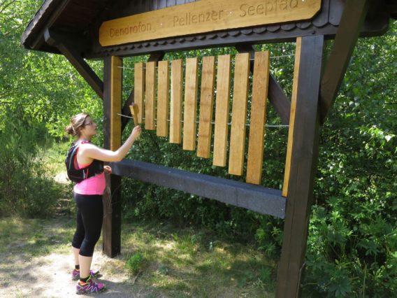 20140615_Traumpfad_Pellenzer_Seepfad_Laacher_See_014