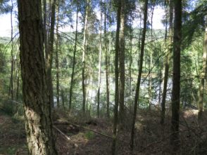 20140615_Traumpfad_Pellenzer_Seepfad_Laacher_See_016