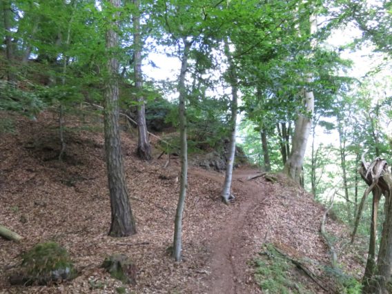 20140615_Traumpfad_Pellenzer_Seepfad_Laacher_See_018