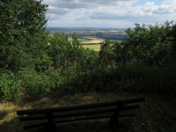 20140615_Traumpfad_Pellenzer_Seepfad_Laacher_See_020