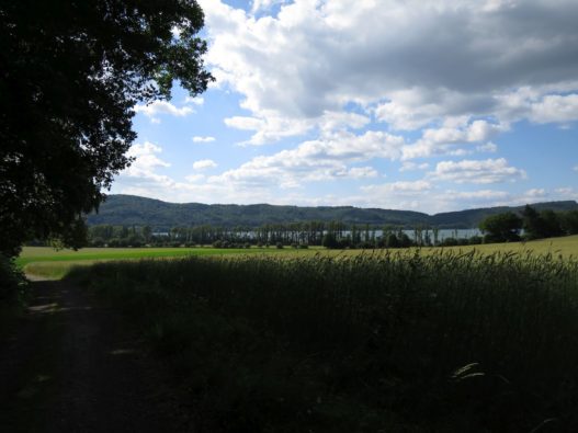 20140615_Traumpfad_Pellenzer_Seepfad_Laacher_See_021