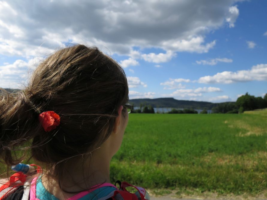 20140615_Traumpfad_Pellenzer_Seepfad_Laacher_See_022