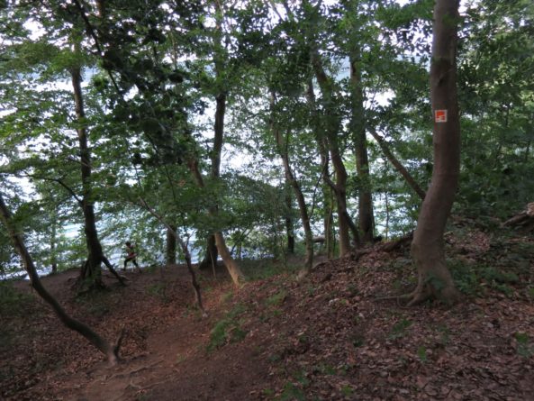 20140615_Traumpfad_Pellenzer_Seepfad_Laacher_See_023