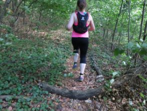 20140615_Traumpfad_Pellenzer_Seepfad_Laacher_See_024