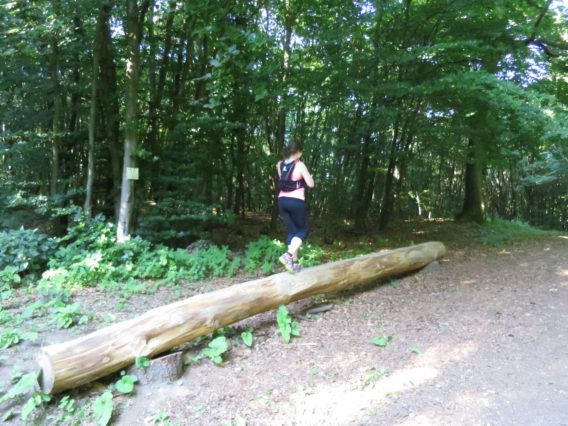 20140615_Traumpfad_Pellenzer_Seepfad_Laacher_See_028