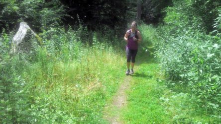 20140706_Traumpfad_Waldschluchtenweg_002